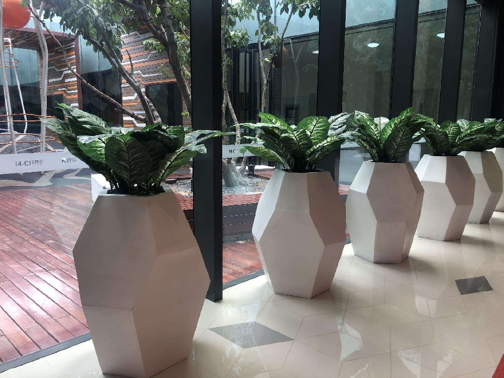 辦公室綠植租賃的好處有哪些？